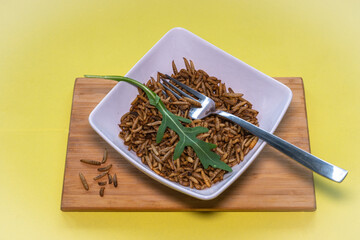 Mealworms in a bowl with a fork, alternative protein rich diet from edible insects