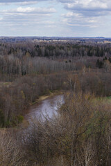 trees and river in early spring