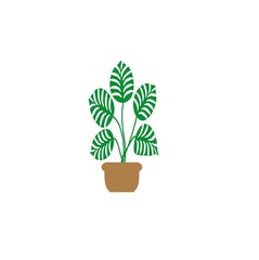 Fototapeta premium A green plant in a pot. Home decor, cozy plant, botanical leaves. An illustration of colorful greenery with doodles highlighted on a white background. It can be used for wall decoration, banners