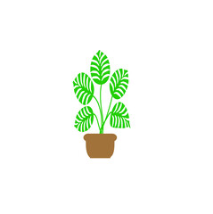 A green plant in a pot. Home decor, cozy plant, botanical leaves. An illustration of colorful greenery with doodles highlighted on a white background. It can be used for wall decoration, banners