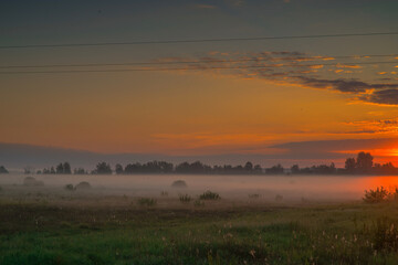 Dawn on a field with fog..
