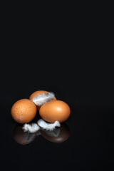 Three brown eggs and small feathers on a black background, still life