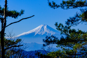 檜原都民の森の深山の道から見た富士山