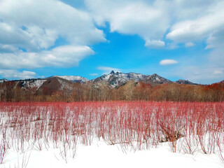 winter landscape of three primary colors blue white and red