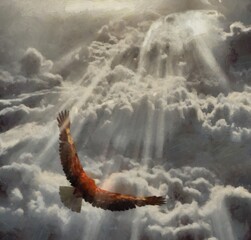 Fototapeta na wymiar Eagle flies in cloudy sky