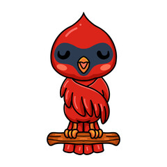 Cute baby cardinal bird cartoon sleeping on tree branch