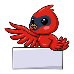Cute baby cardinal bird cartoon with blank sign