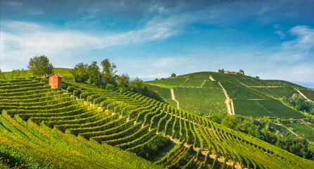 Fototapeta na wymiar Langhe vineyards panorama, Serralunga Alba, Piedmont, Italy Europe.