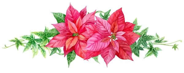 Tuinposter Watercolor Christmas wreath with Poinsettia flowers and ivy leaves. Hand-drawn illustration for holiday decor, greeting floral postcard and invitations isolated on white background. © Olga