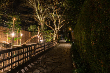 Obraz premium 冬の夜にライトアップされた修善寺温泉街の遊歩道