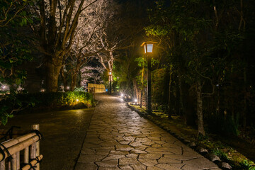 冬の夜にライトアップされた修善寺温泉街の遊歩道