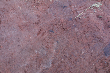 Dust dirt road in the countryside. Hard clay ground surface background. Surface Natural Geological.