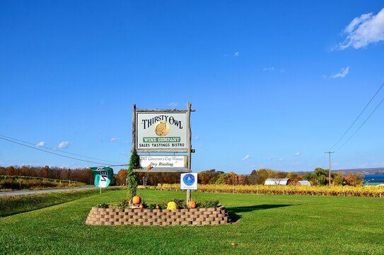 Ovid, NY, US-October 23, 2020: Sign Of “Thirsty Owl Wine Company”, Situated On The Western Shore Of Cayuga Lake, As Home Of Some Of The Oldest Vinifera Vines In The Finger Lakes Region Of New York. 