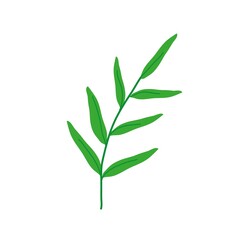 Fototapeta premium branch with green leaves, plant, decorative seasonal icon isolated on white background, flat design style