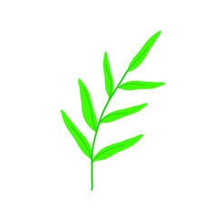 branch with green leaves, plant, decorative seasonal icon isolated on white background, flat design style