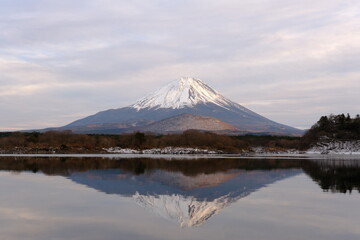 世界遺産　富士山と精進湖の冬の景色