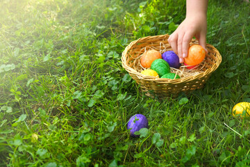 Easter Egg Hunt. Collecting Easter eggs. Child collects Easter eggs and puts in a basket in the spring garden. Religious holiday tradition.