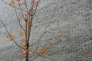 Grey brick walls of Chinese rural dwellings