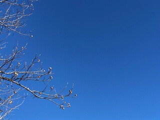 空