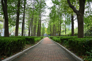 path in the park