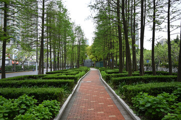 footpath in the park