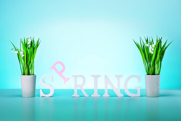 Spring word, flowers on light green background. Spring concept.