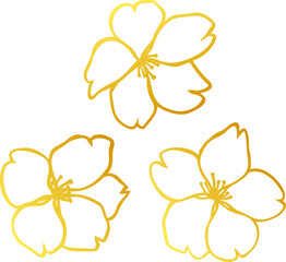 金色の桜の花のイラストセット