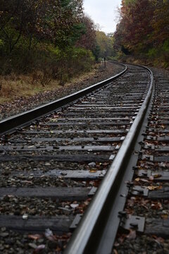 railroad tracks in the forest