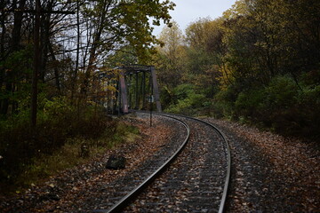 Fototapeta premium railroad tracks in the forest