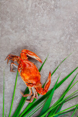 Steamed crab with grass on a grey surface.