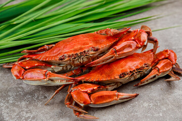 Two boiled crabs with grass on a grey surface.