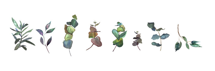 Branches and leaves - watercolor hand drawn isolated on white background..