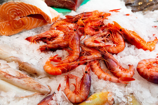 Closeup of icy market showcase with raw prawns. Fresh seafood delicacies..