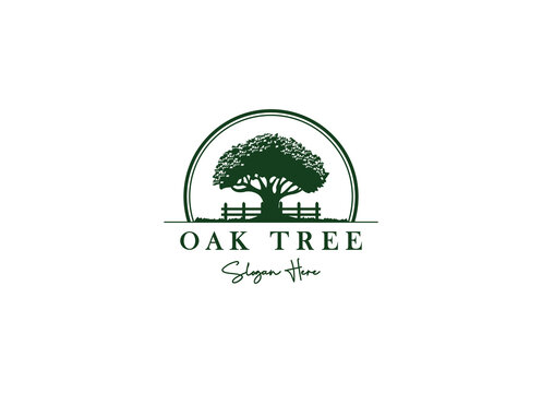 Oak Tree Vector Logo Illustration. Tree Logo