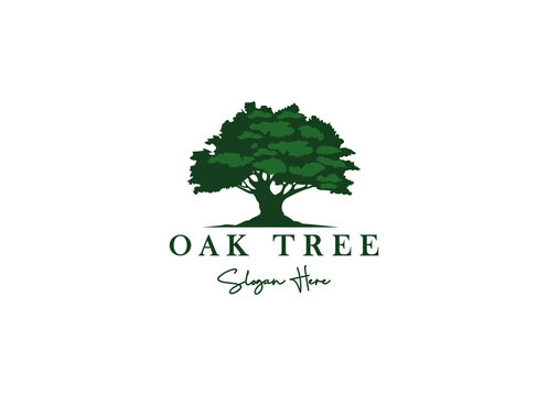 Oak Tree Residential Vintage Logo Design Vector