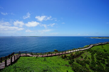 Obraz premium a fascinating seaside walkway and seascape