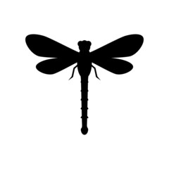 Dragonfly icon design template vector isolated