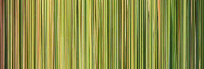 Obraz premium Abstract pattern green stripes for background design.
