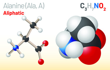 Alanine (Ala, A) amino acid molecule. (Chemical formula C3H7NO2) it is non-essential amino acid. Ball-and-stick model, space-filling model and skeletal formula. Layered vector illustration
