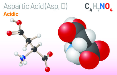 Aspartic Acid (Asp, D) amino acid molecule. (Chemical formula C4H7NO4) proteinogenic amino acid molecule. Ball-and-stick model, space-filling model and skeletal formula. Layered vector illustration
