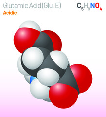 Glutamic Acid (Glu, E) amino acid molecule. (Chemical formula C5H9NO4) aliphatic amino acid molecule. Ball-and-stick model, space-filling model and skeletal formula. Layered vector illustration
