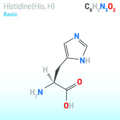 Fototapeta premium Histidine (His, H) amino acid molecule. (Chemical formula C6H9N3O2) used in the biosynthesis of proteins. Ball-and-stick model, space-filling model and skeletal formula. Layered vector illustration