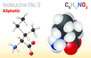 Isoleucine (Ile, I) amino acid molecule. (Chemical formula C6H13NO2) used in the biosynthesis of proteins. Ball-and-stick model, space-filling model and skeletal formula. Layered vector illustration