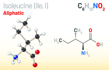 Isoleucine (Ile, I) amino acid molecule. (Chemical formula C6H13NO2) used in the biosynthesis of proteins. Ball-and-stick model, space-filling model and skeletal formula. Layered vector illustration