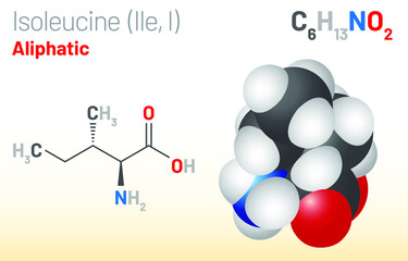 Isoleucine (Ile, I) amino acid molecule. (Chemical formula C6H13NO2) used in the biosynthesis of proteins. Ball-and-stick model, space-filling model and skeletal formula. Layered vector illustration