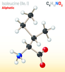 Isoleucine (Ile, I) amino acid molecule. (Chemical formula C6H13NO2) used in the biosynthesis of proteins. Ball-and-stick model, space-filling model and skeletal formula. Layered vector illustration
