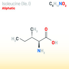 Isoleucine (Ile, I) amino acid molecule. (Chemical formula C6H13NO2) used in the biosynthesis of proteins. Ball-and-stick model, space-filling model and skeletal formula. Layered vector illustration