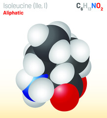 Isoleucine (Ile, I) amino acid molecule. (Chemical formula C6H13NO2) used in the biosynthesis of proteins. Ball-and-stick model, space-filling model and skeletal formula. Layered vector illustration