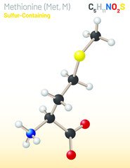 Methionine (Met, M) amino acid molecule. (Chemical formula C5H11NO2S) it is used in the biosynthesis of proteins. Ball-and-stick model, space-filling model and skeletal formula. Layered vector