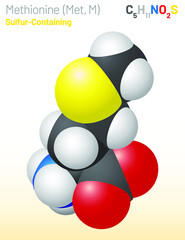 Methionine (Met, M) amino acid molecule. (Chemical formula C5H11NO2S) it is used in the biosynthesis of proteins. Ball-and-stick model, space-filling model and skeletal formula. Layered vector